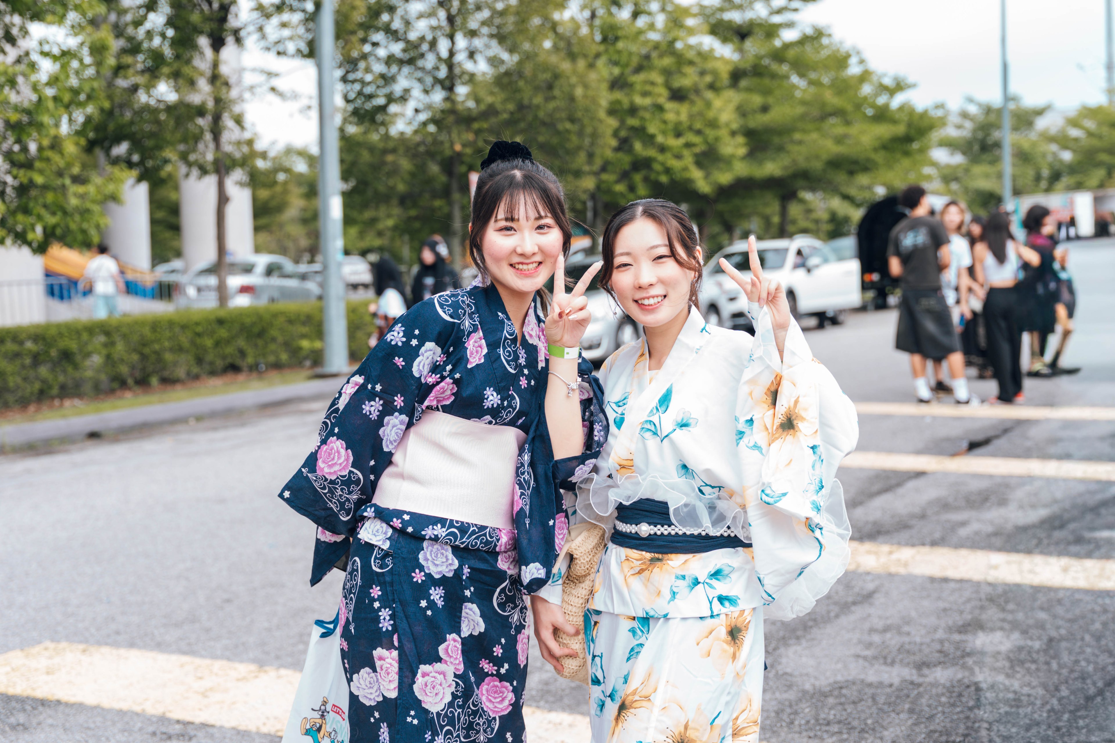International Cultural Night — wil-08019