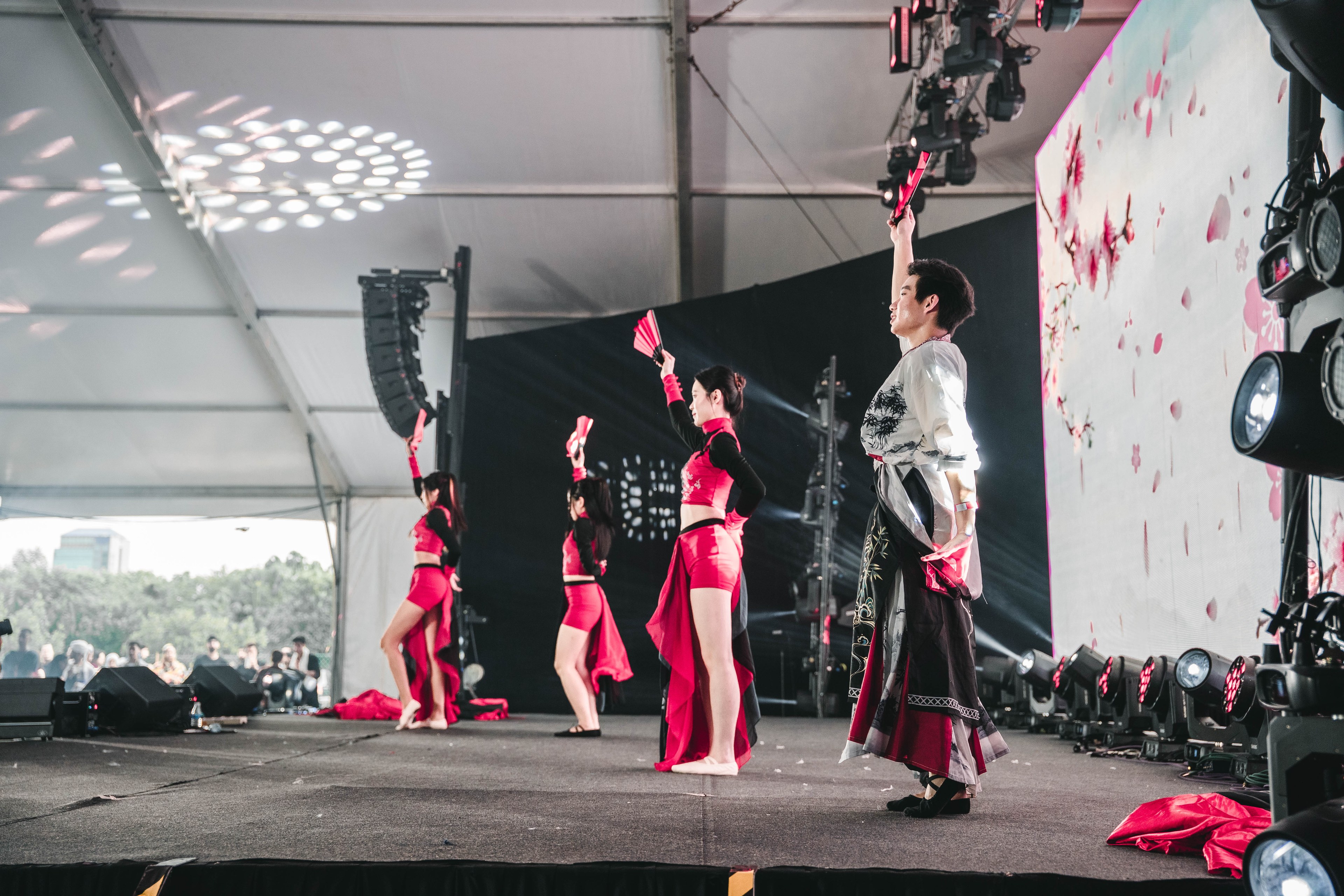 International Cultural Night — wil-08766