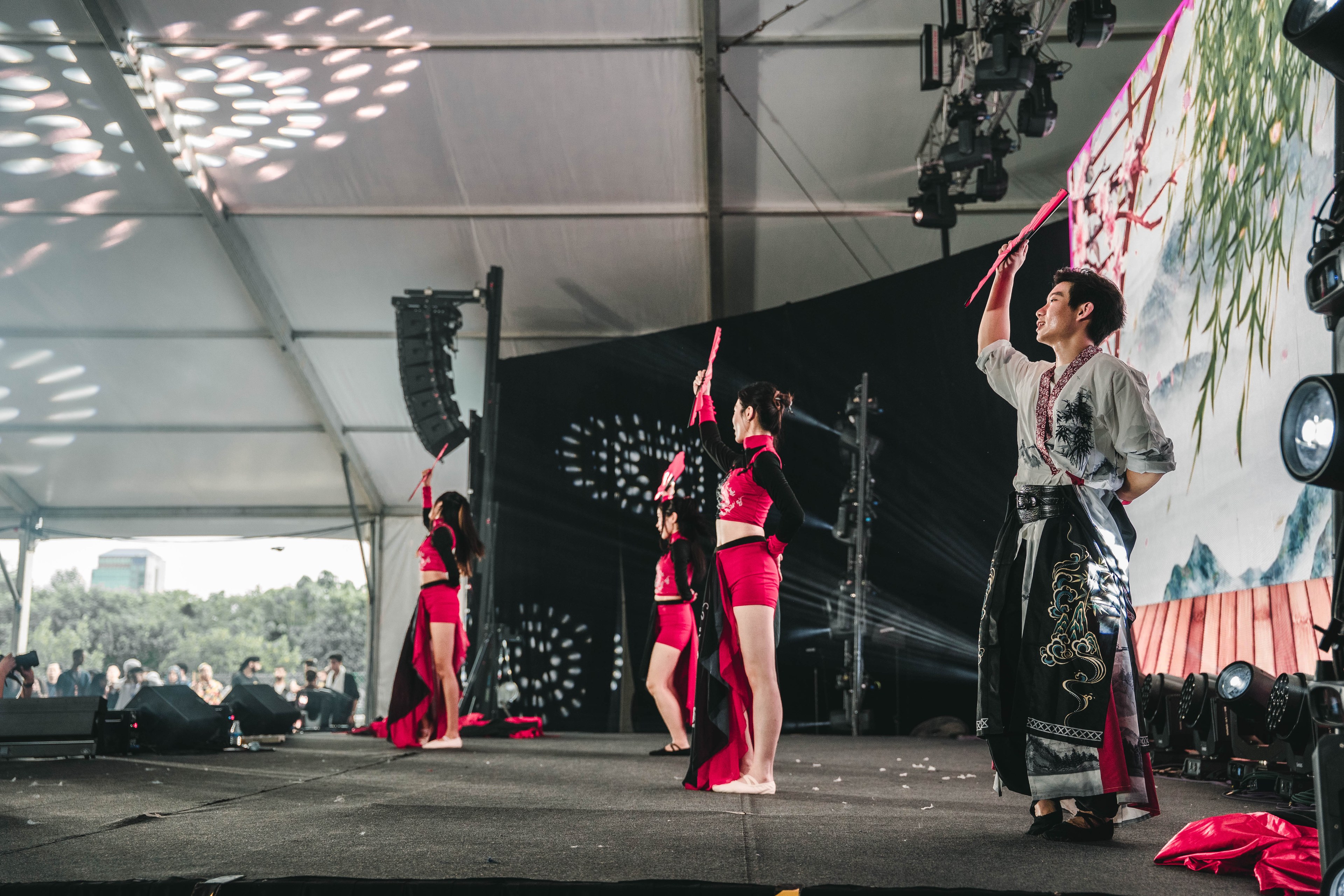 International Cultural Night — wil-08772