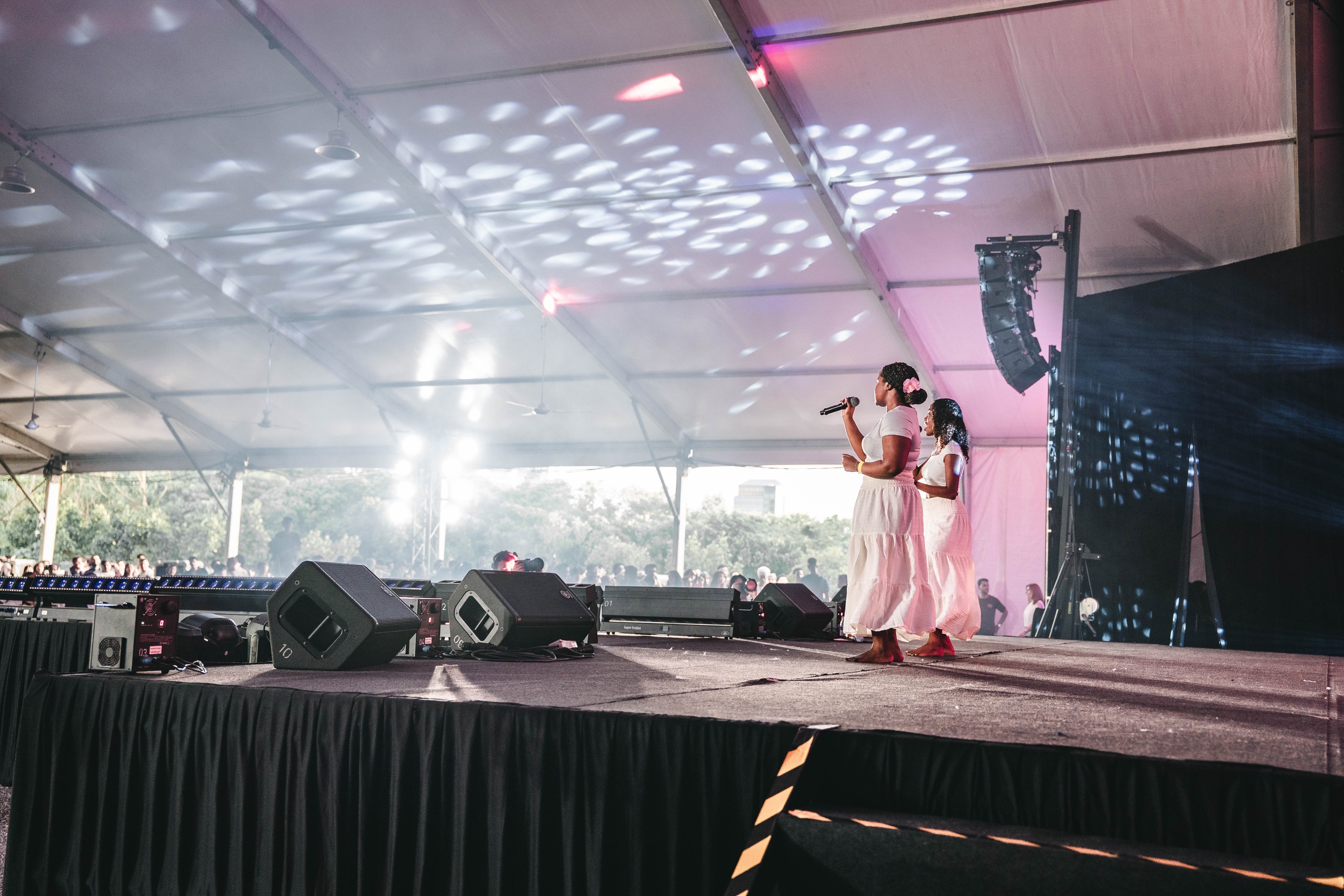 International Cultural Night — wil-08807