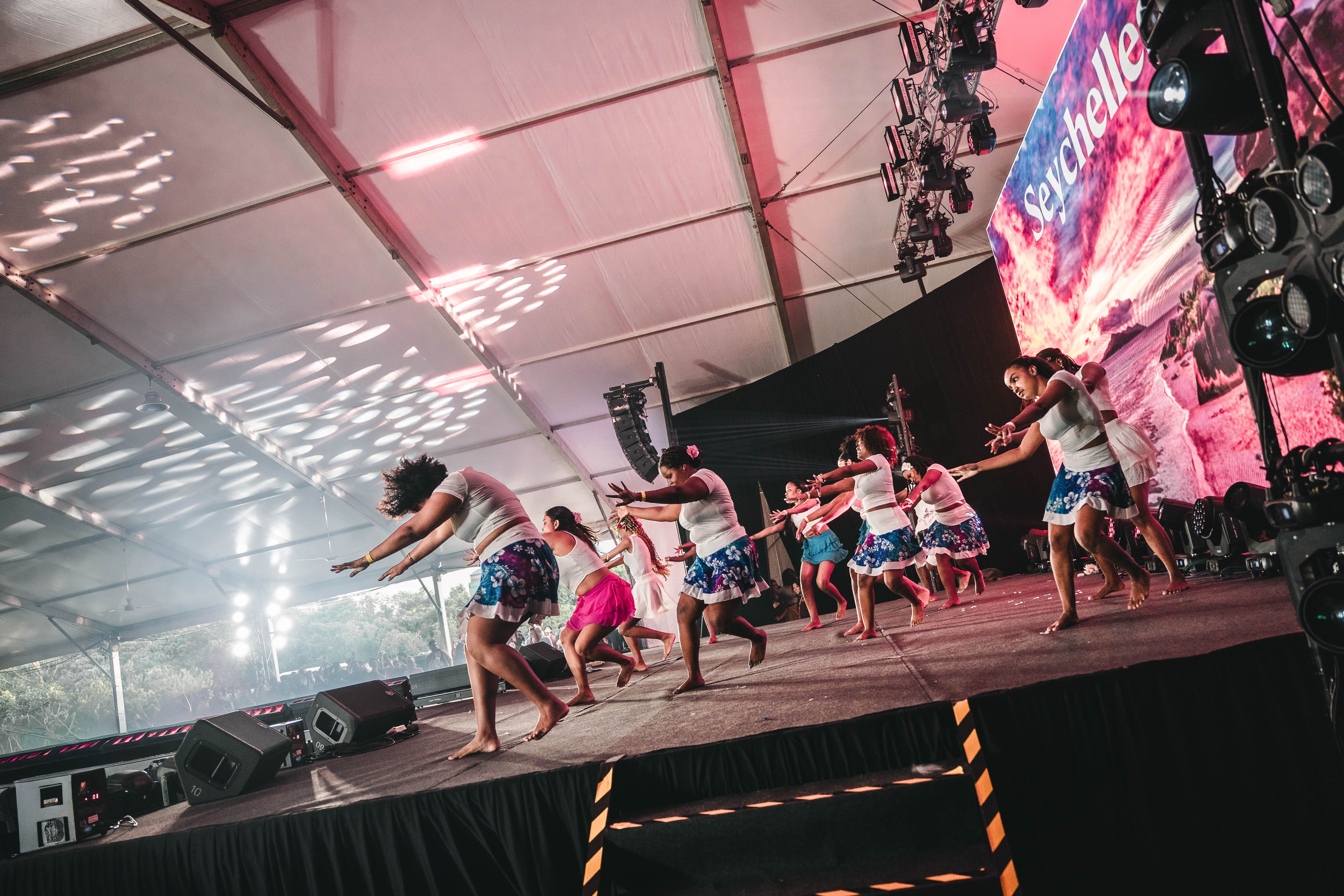 International Cultural Night — wil-08830