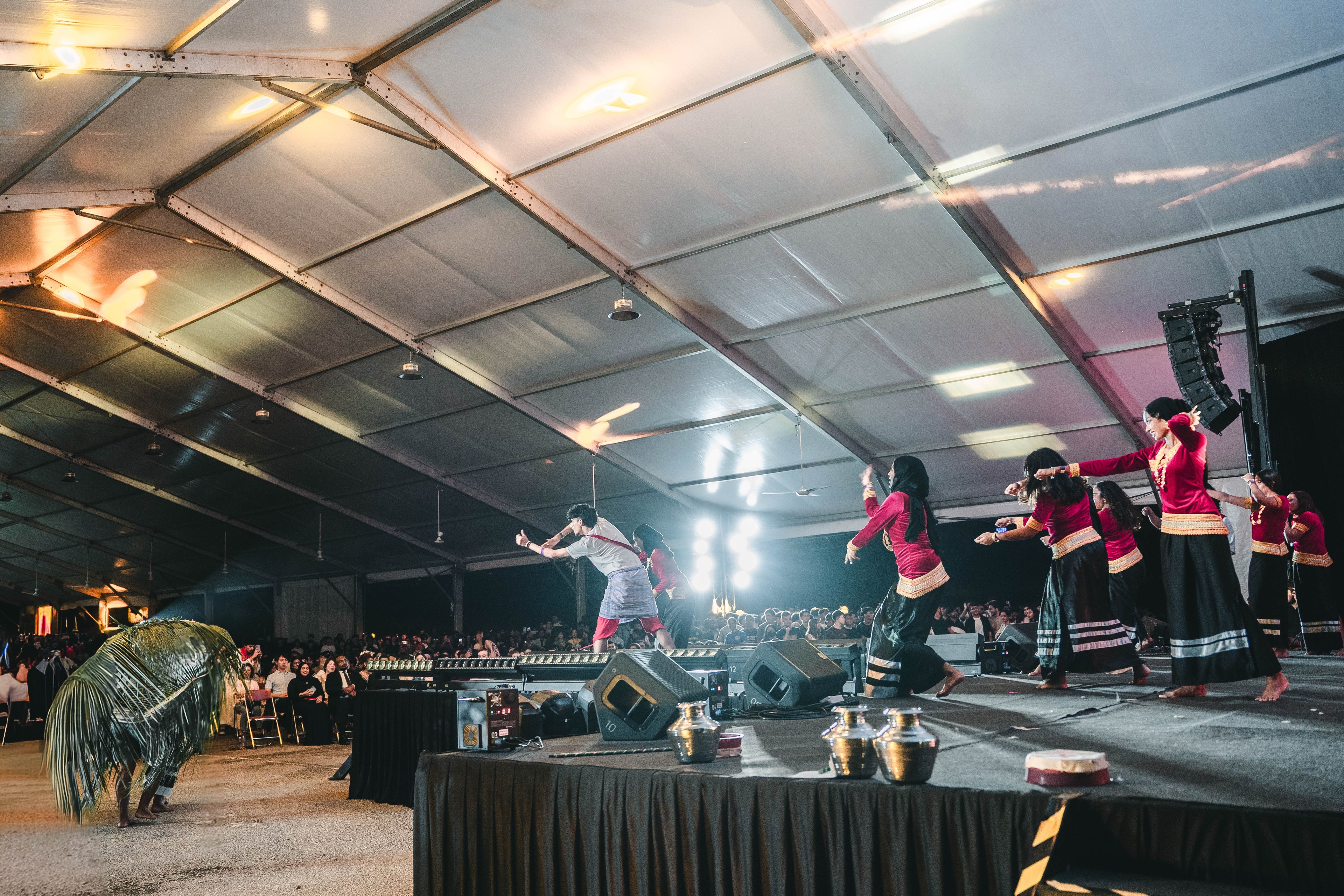 International Cultural Night — wil-09146