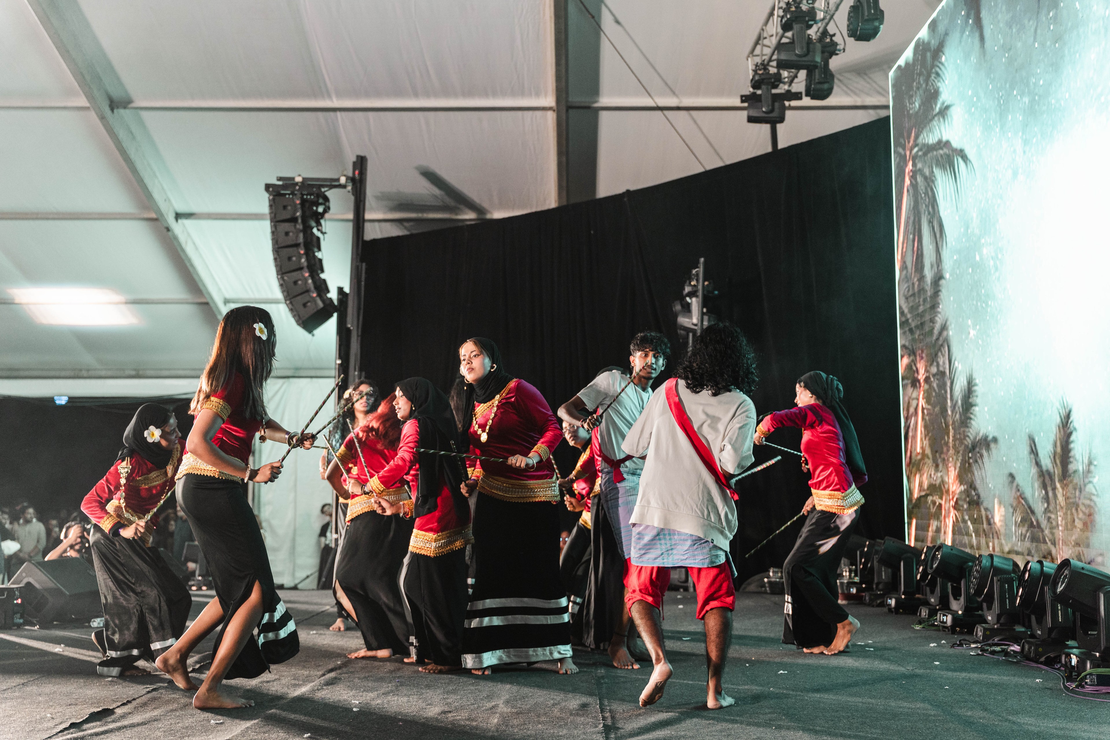 International Cultural Night — wil-09175