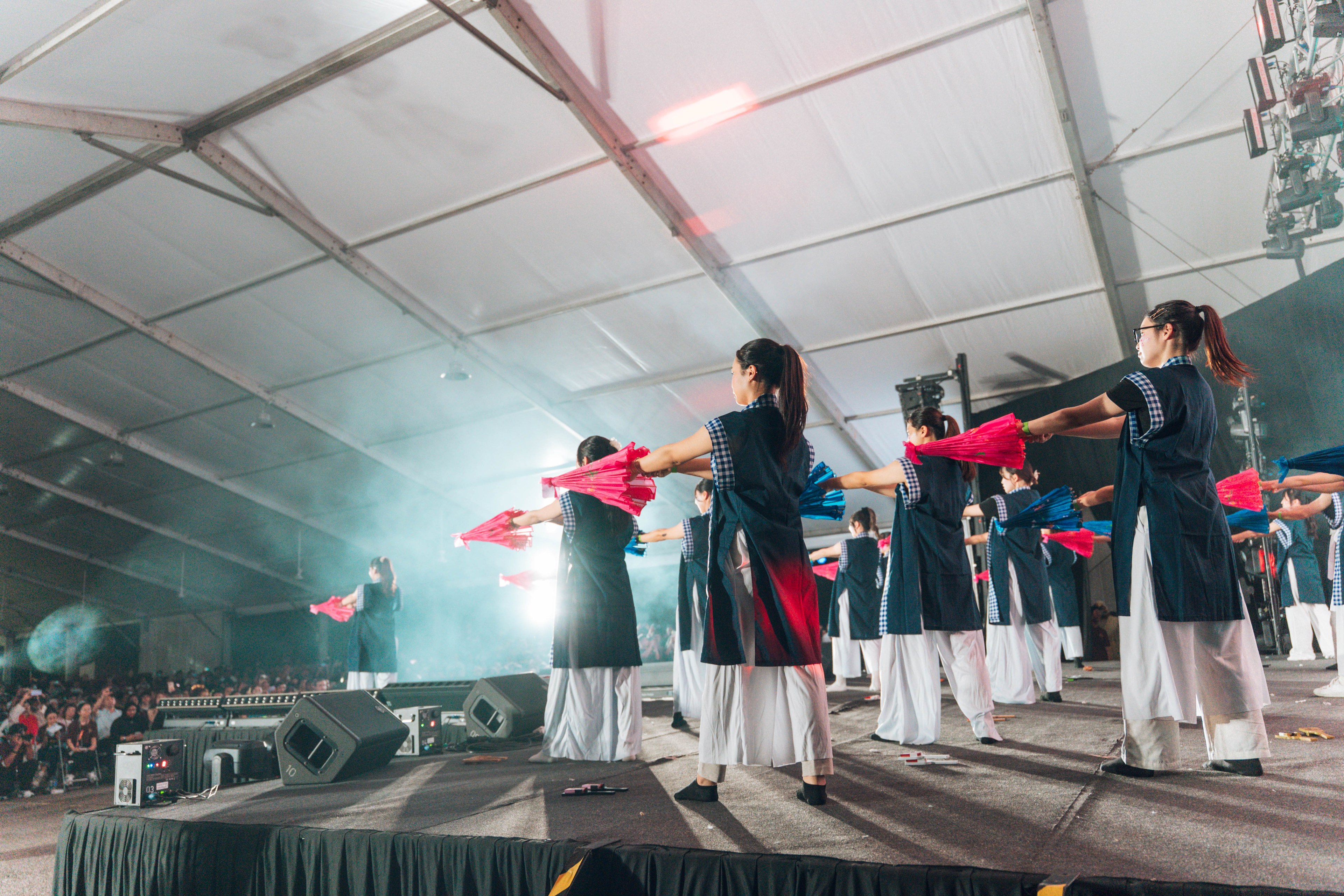 International Cultural Night — wil-09234
