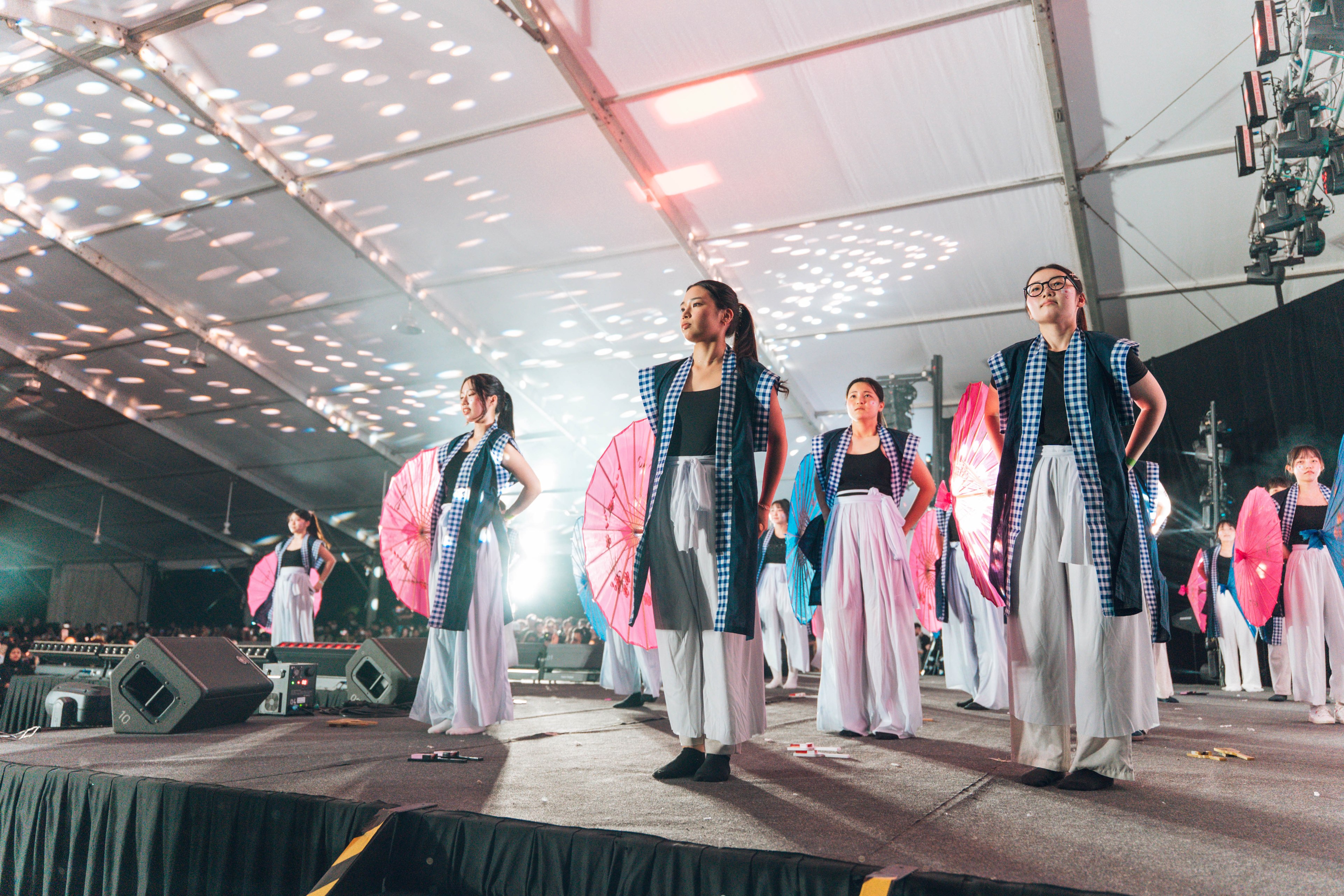 International Cultural Night — wil-09250