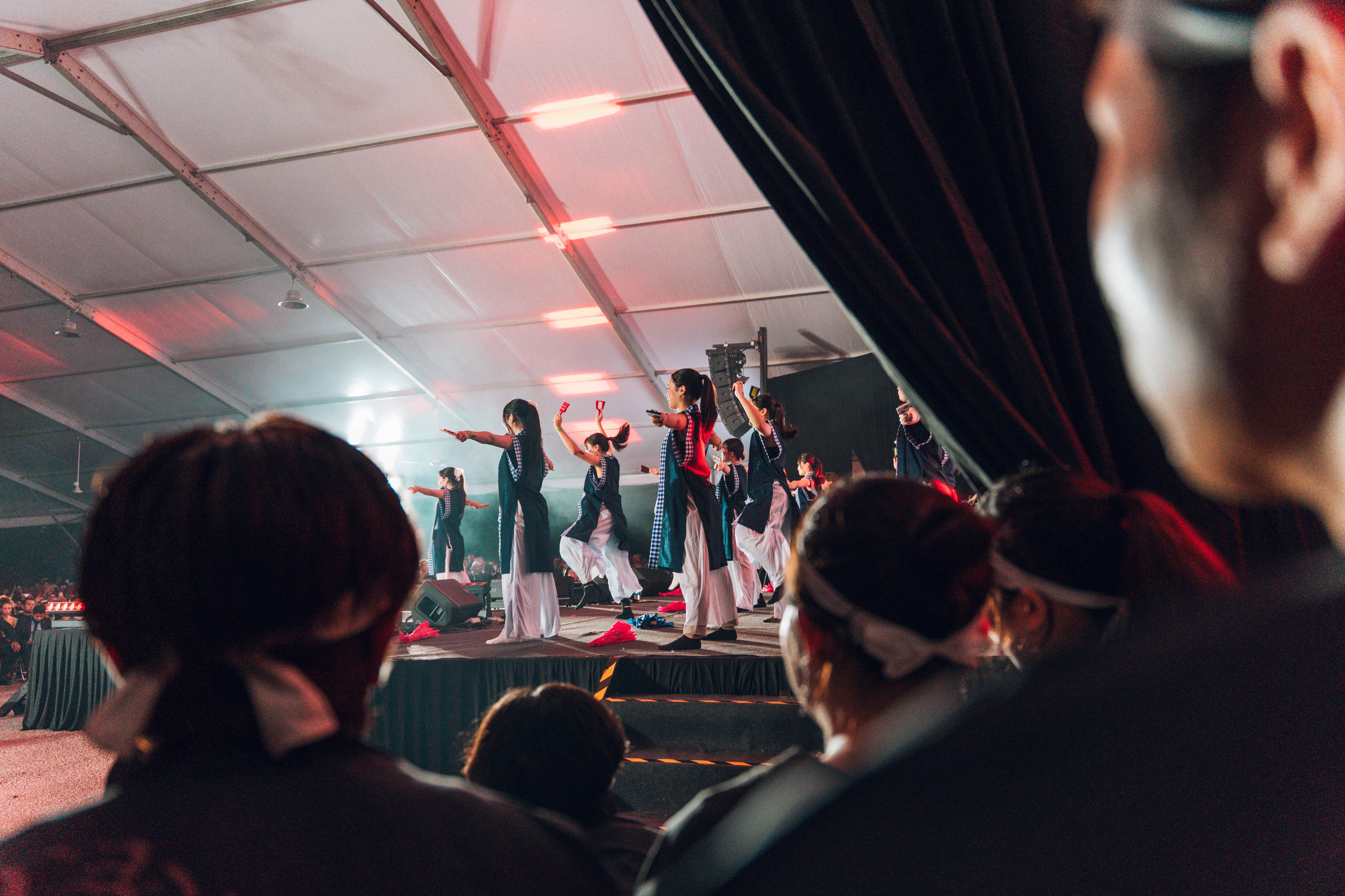 International Cultural Night — wil-09252