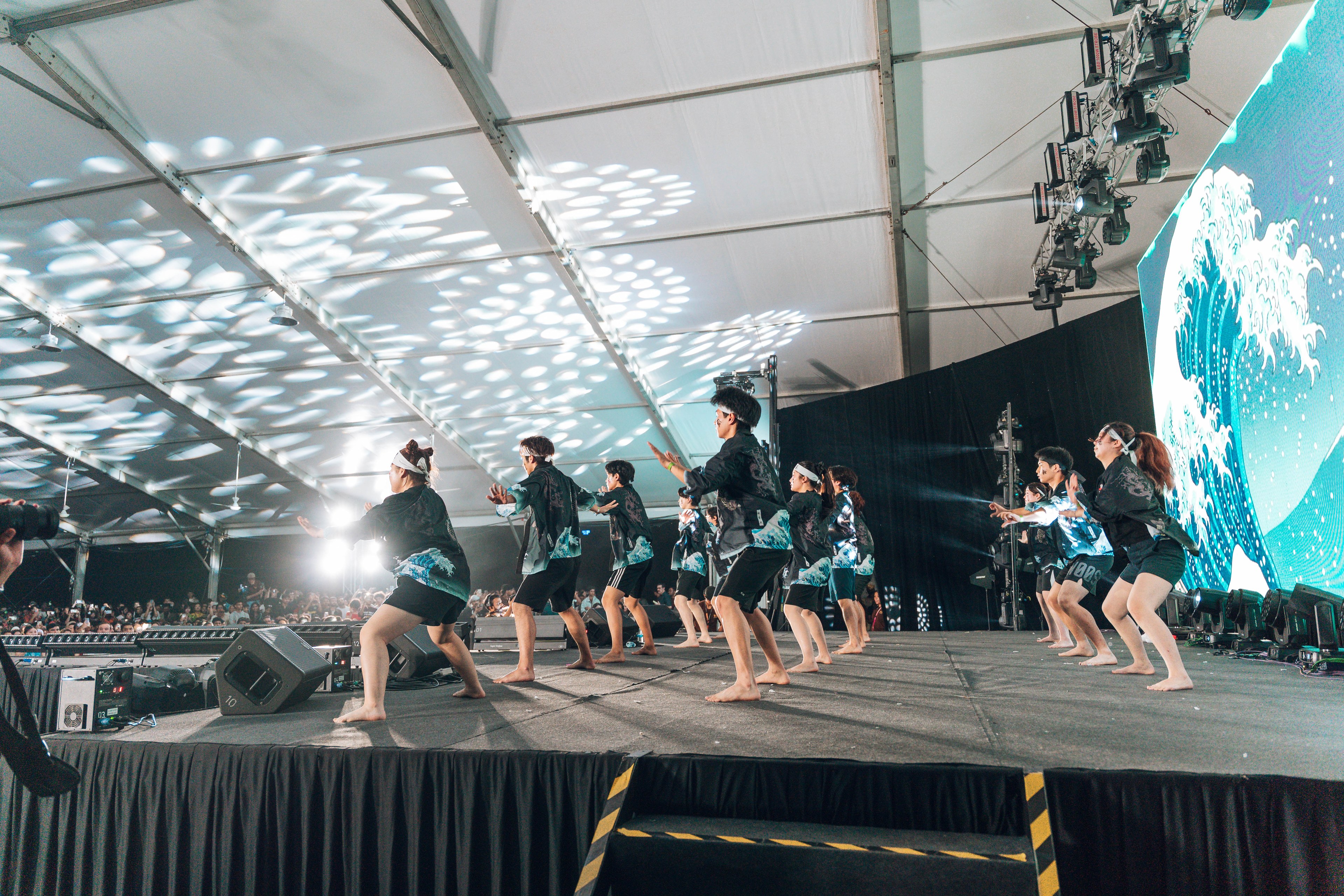International Cultural Night — wil-09285