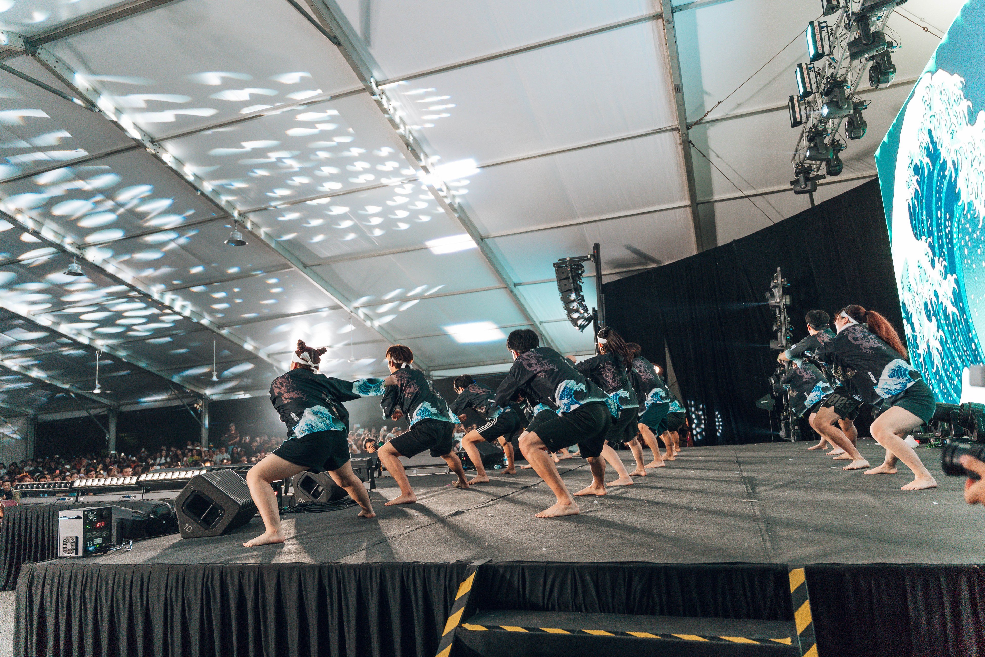 International Cultural Night — wil-09289