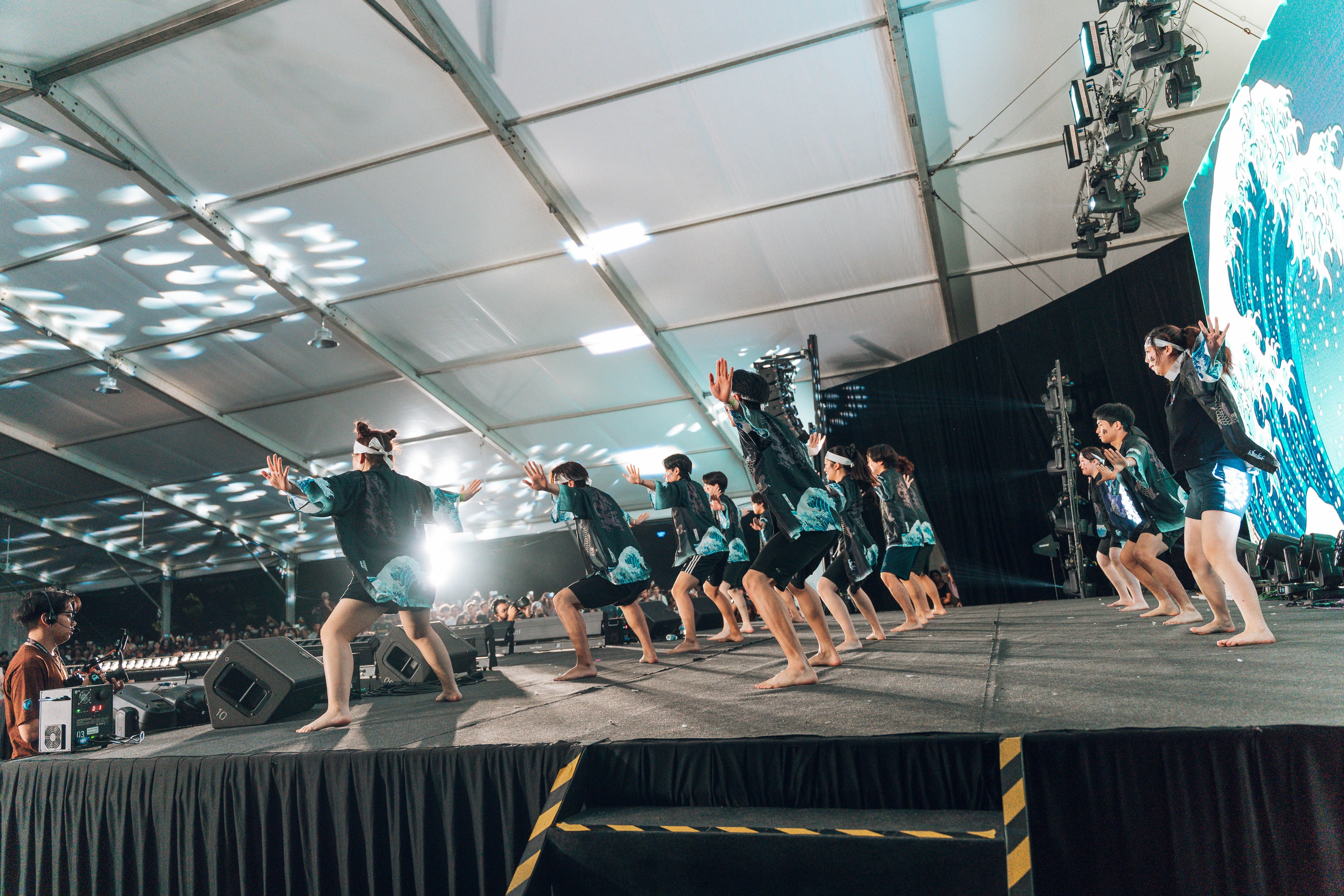 International Cultural Night — wil-09302
