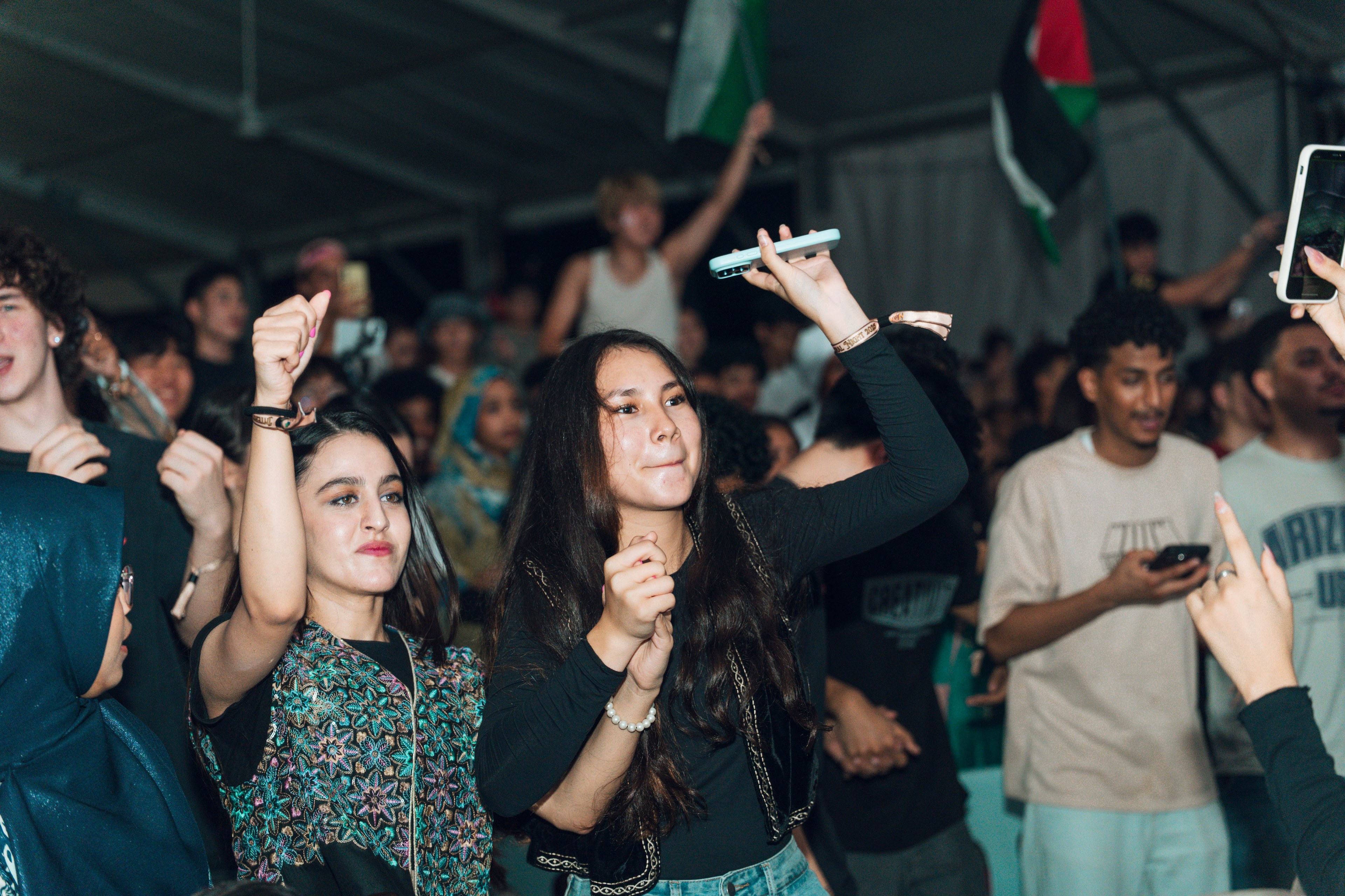 International Cultural Night — wil-09526