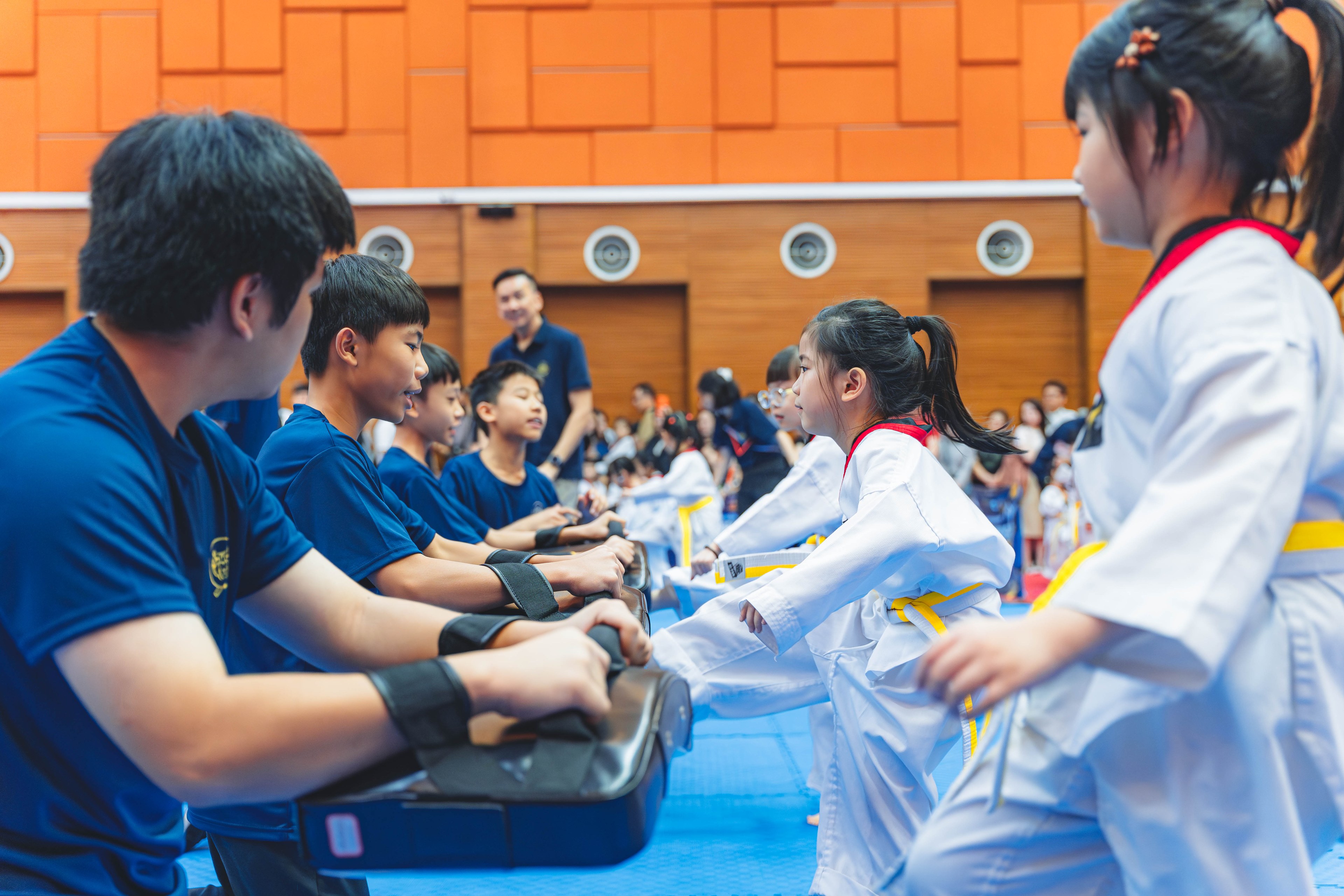 Blackbelt Academy Taekwondo Closed Tournament — wil-02984