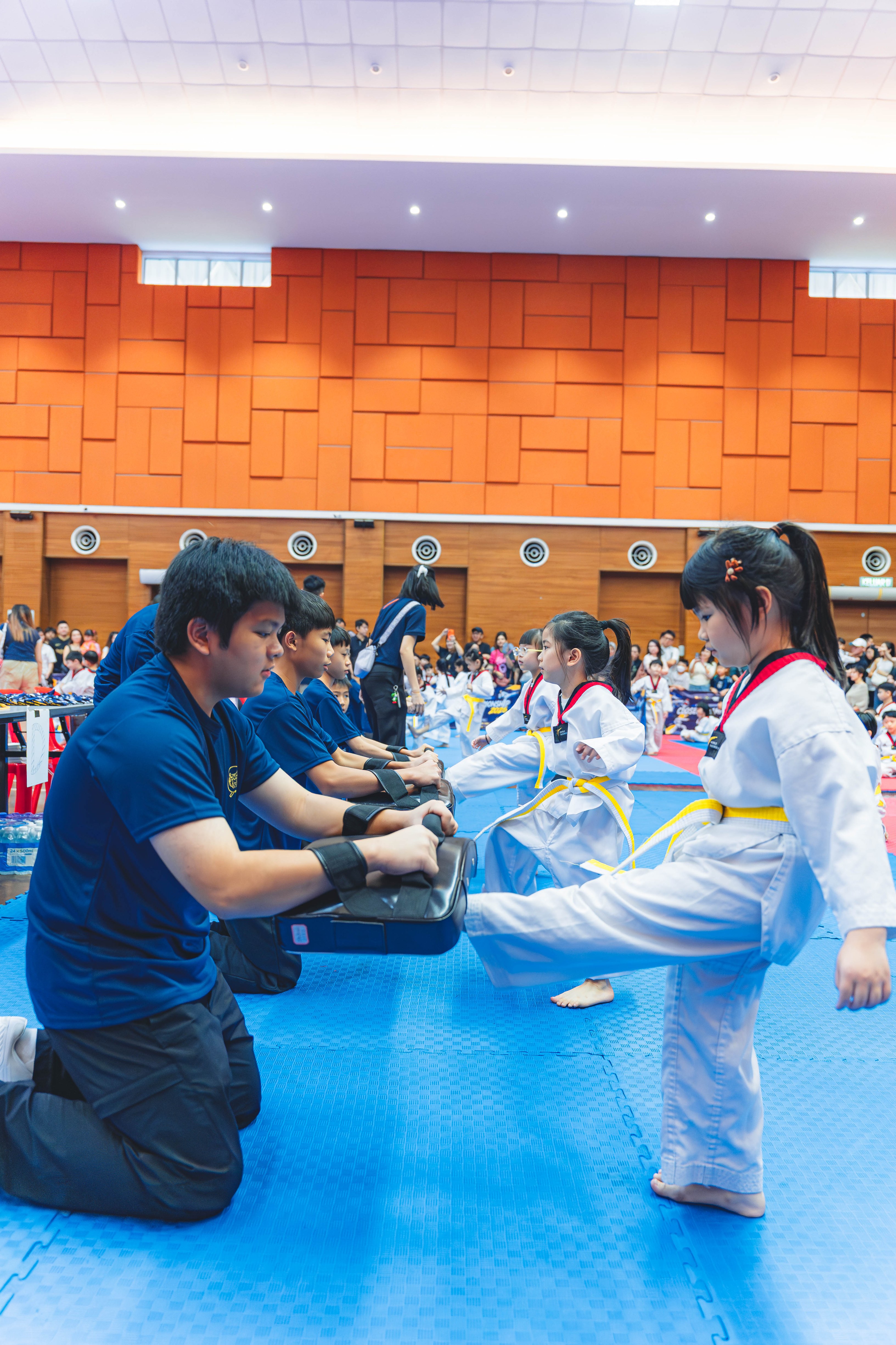 Blackbelt Academy Taekwondo Closed Tournament — wil-02988