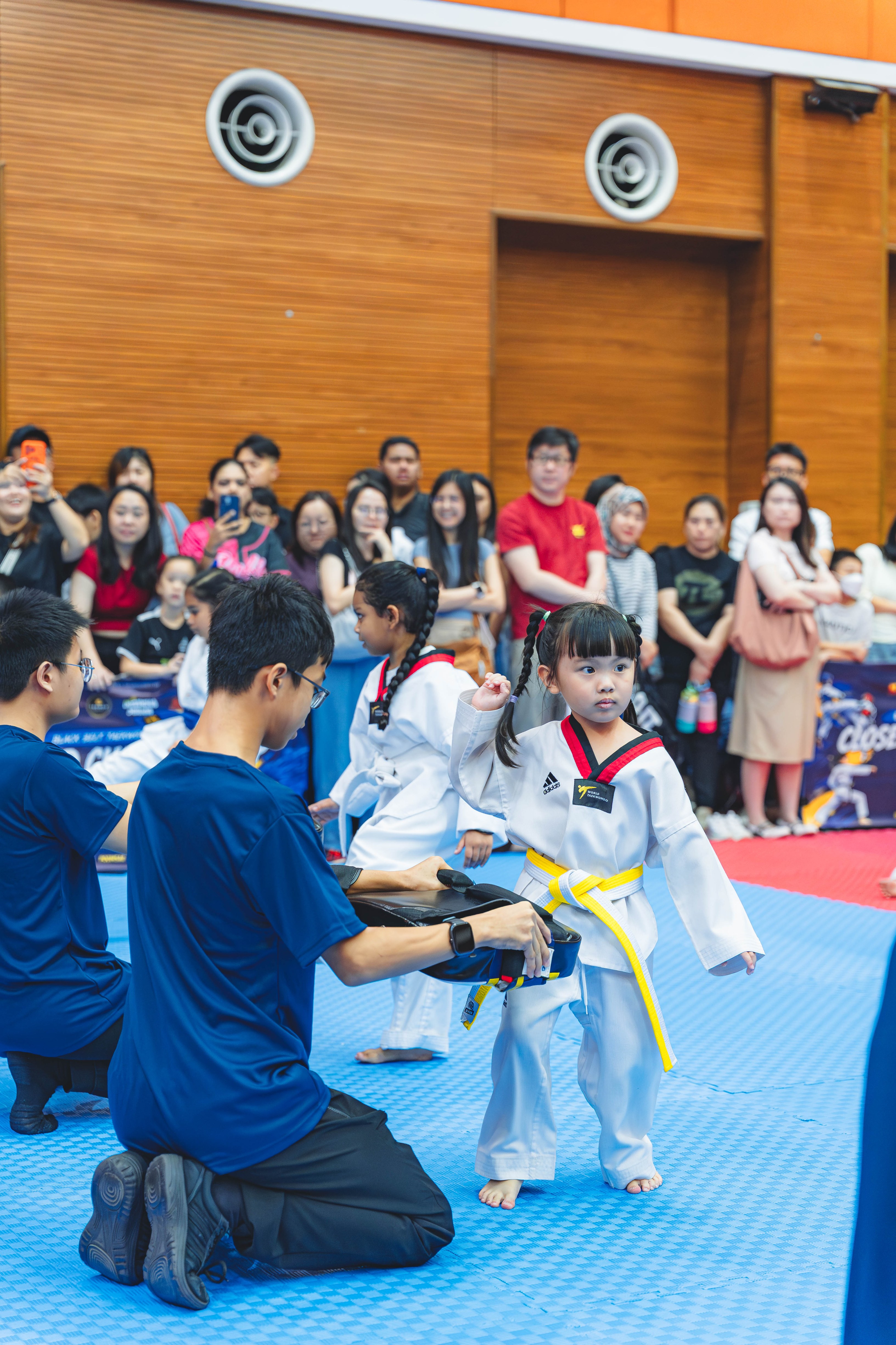 Blackbelt Academy Taekwondo Closed Tournament — wil-03001