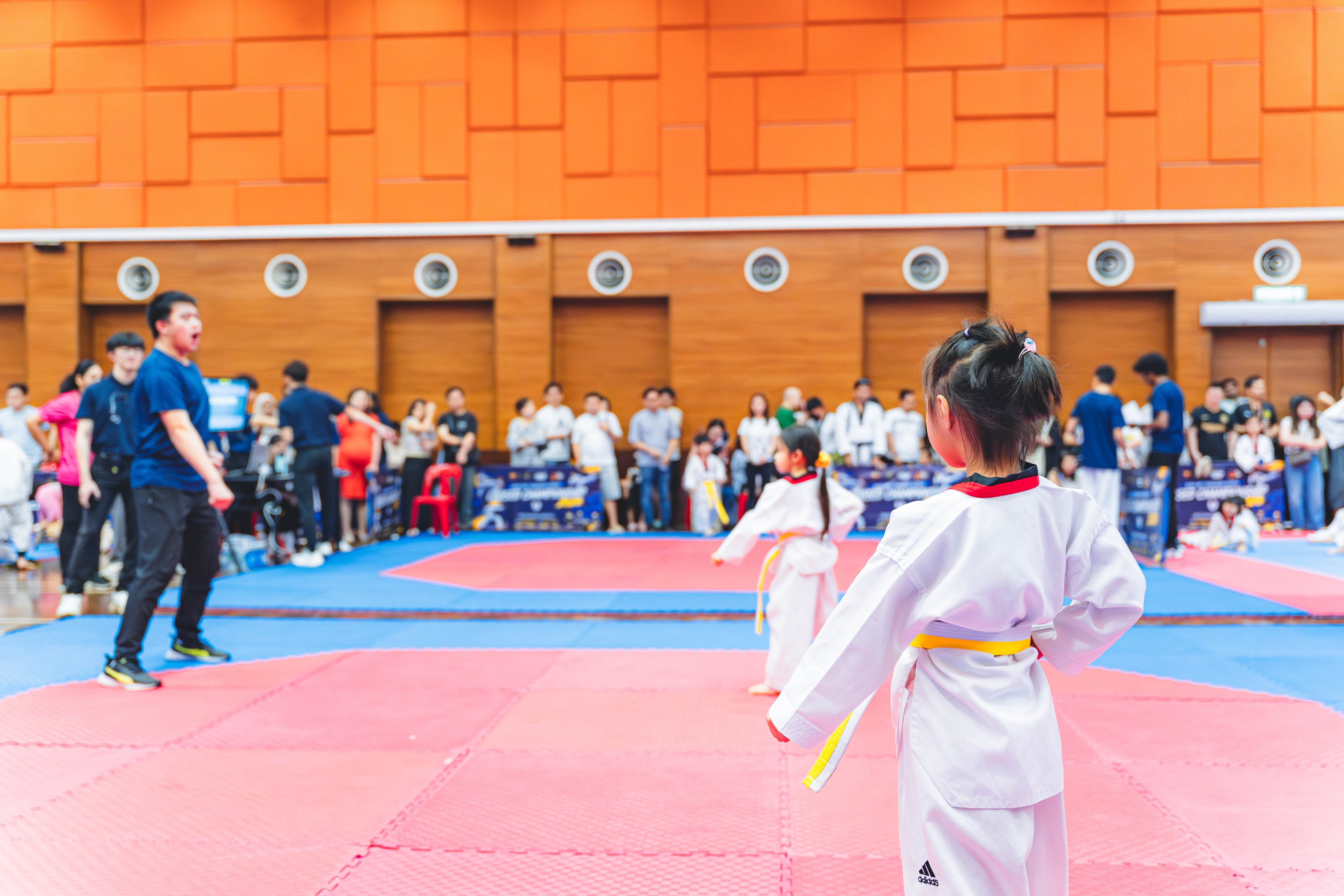 Blackbelt Academy Taekwondo Closed Tournament — wil-03130