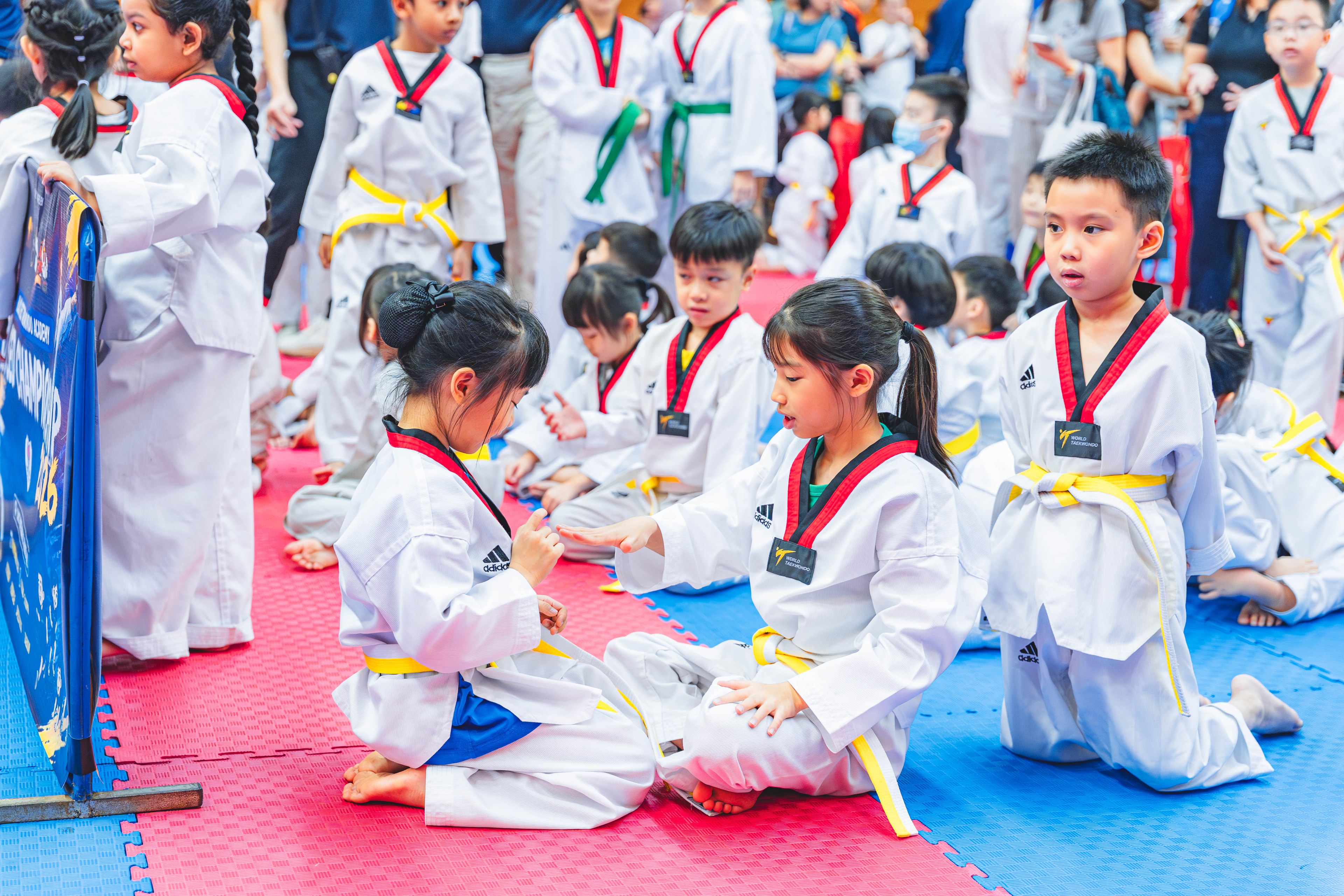 Blackbelt Academy Taekwondo Closed Tournament — wil-03244
