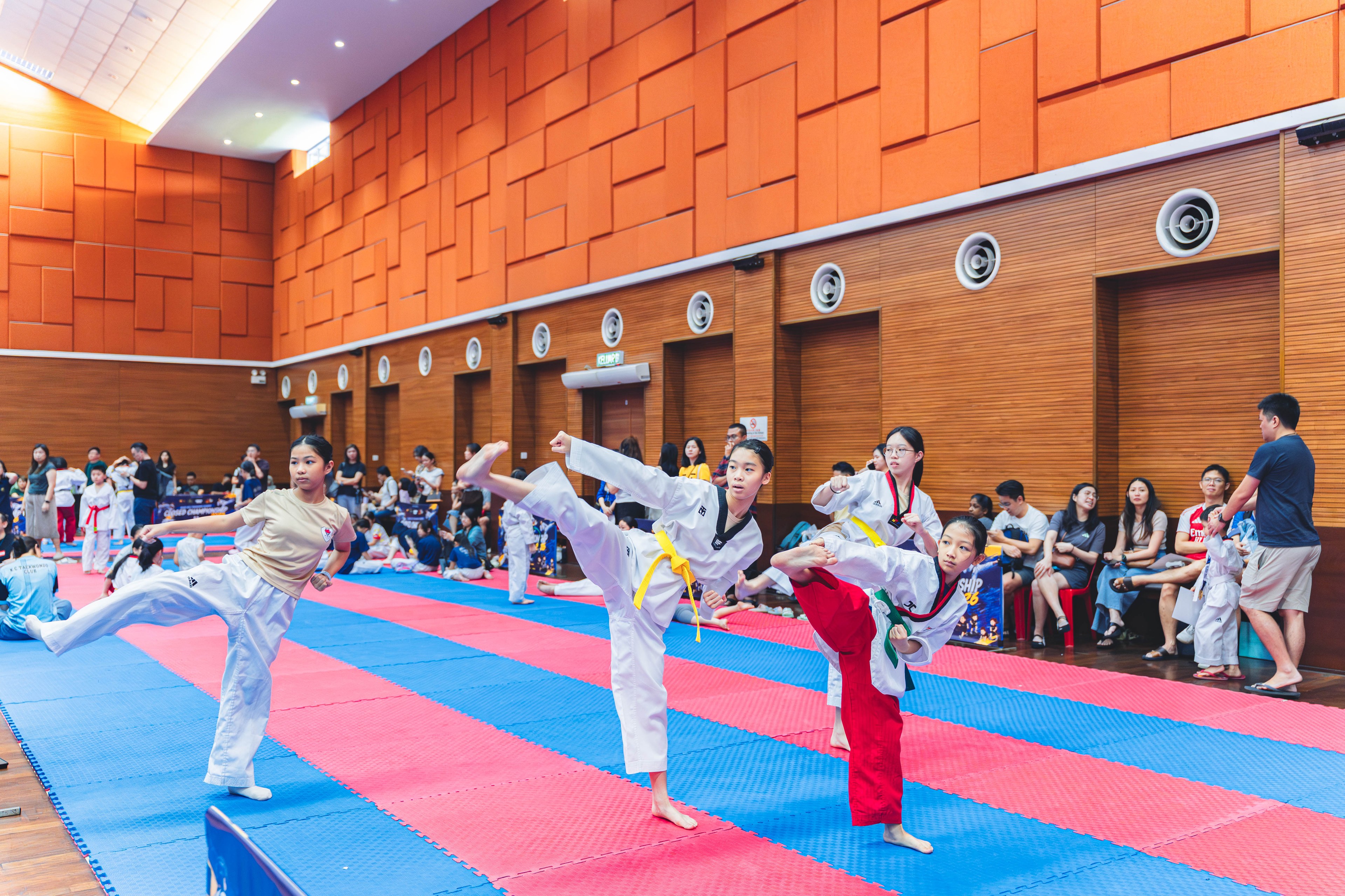 Blackbelt Academy Taekwondo Closed Tournament — wil-03448