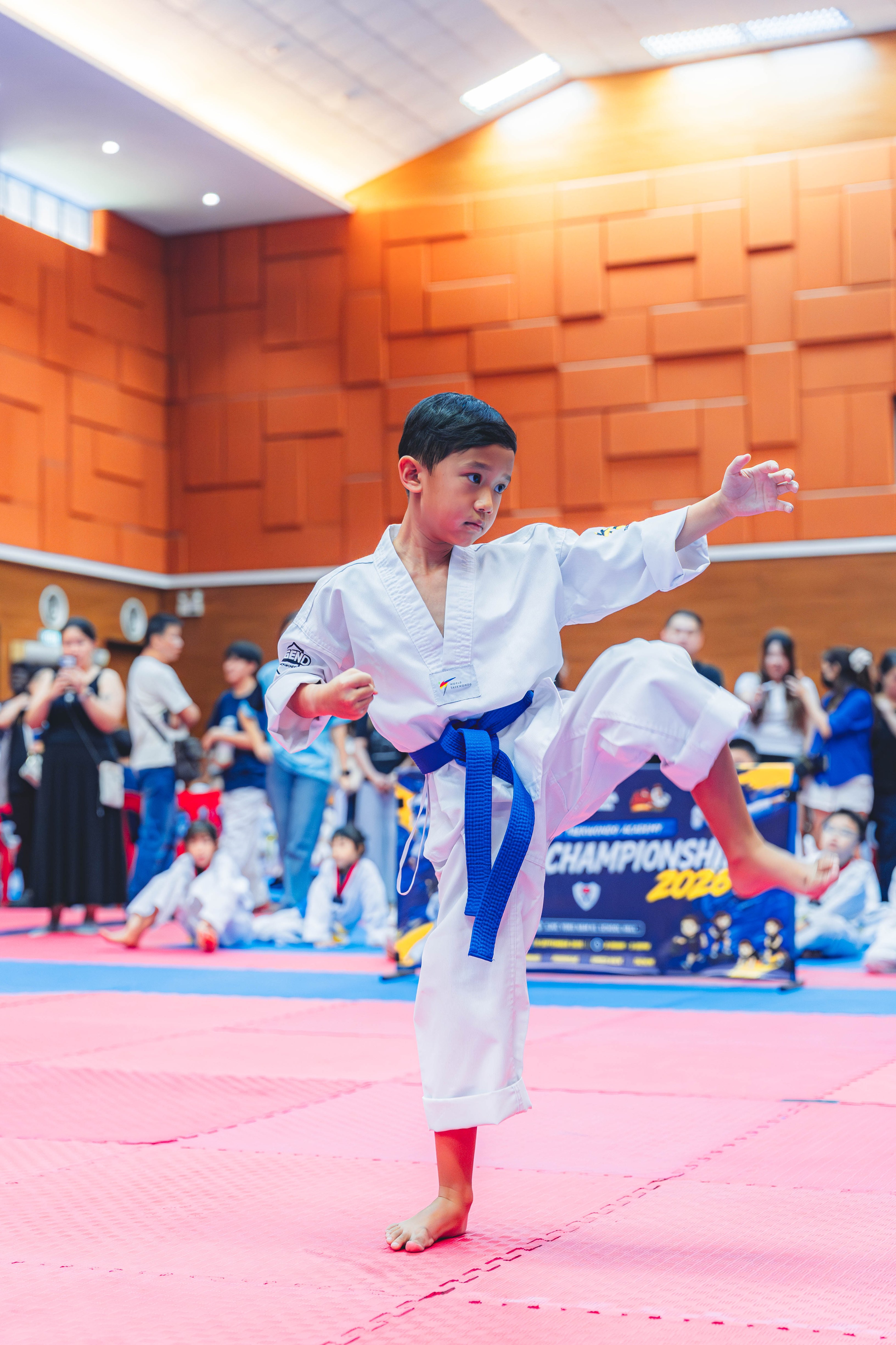 Blackbelt Academy Taekwondo Closed Tournament — wil-03478