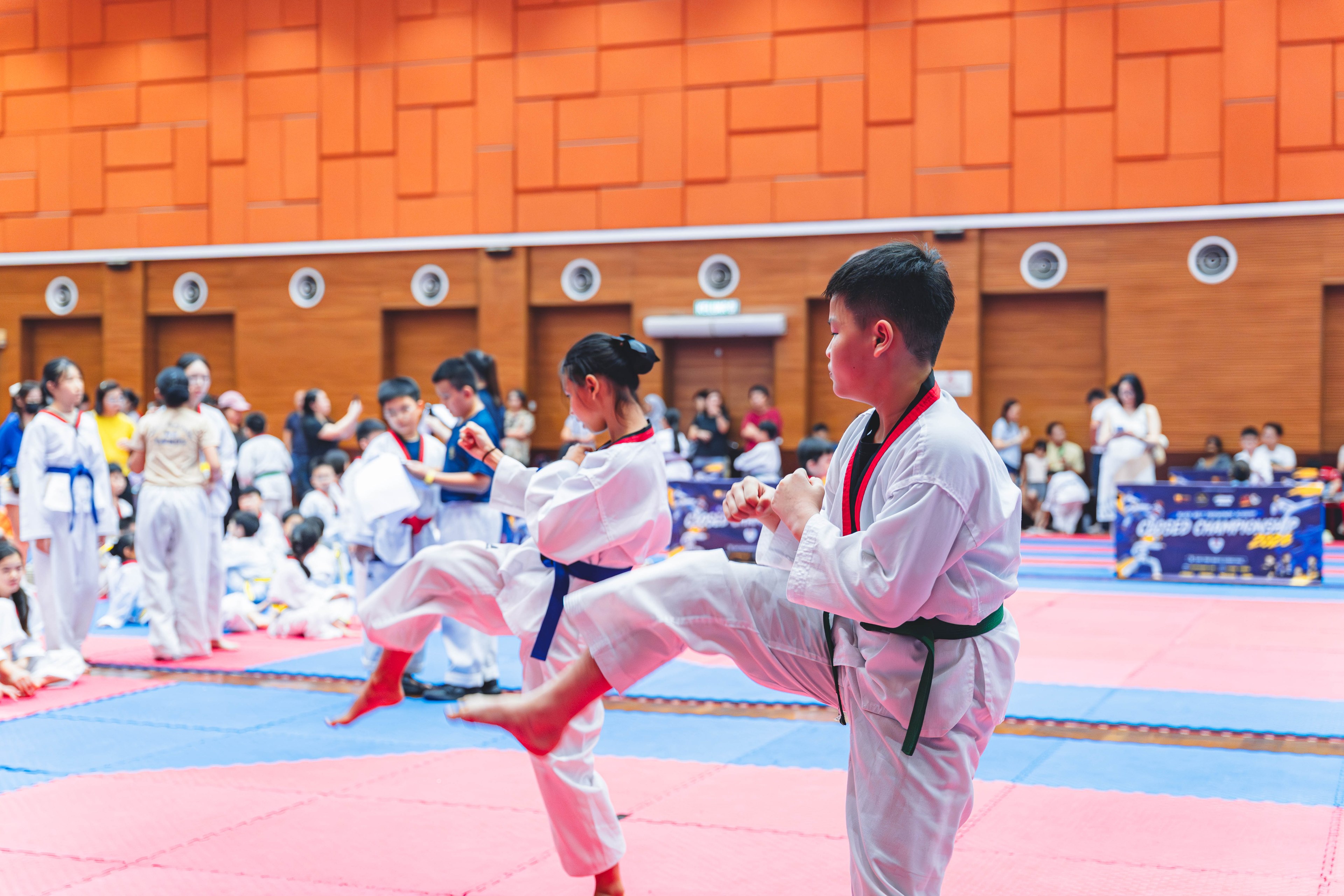 Blackbelt Academy Taekwondo Closed Tournament — wil-03499