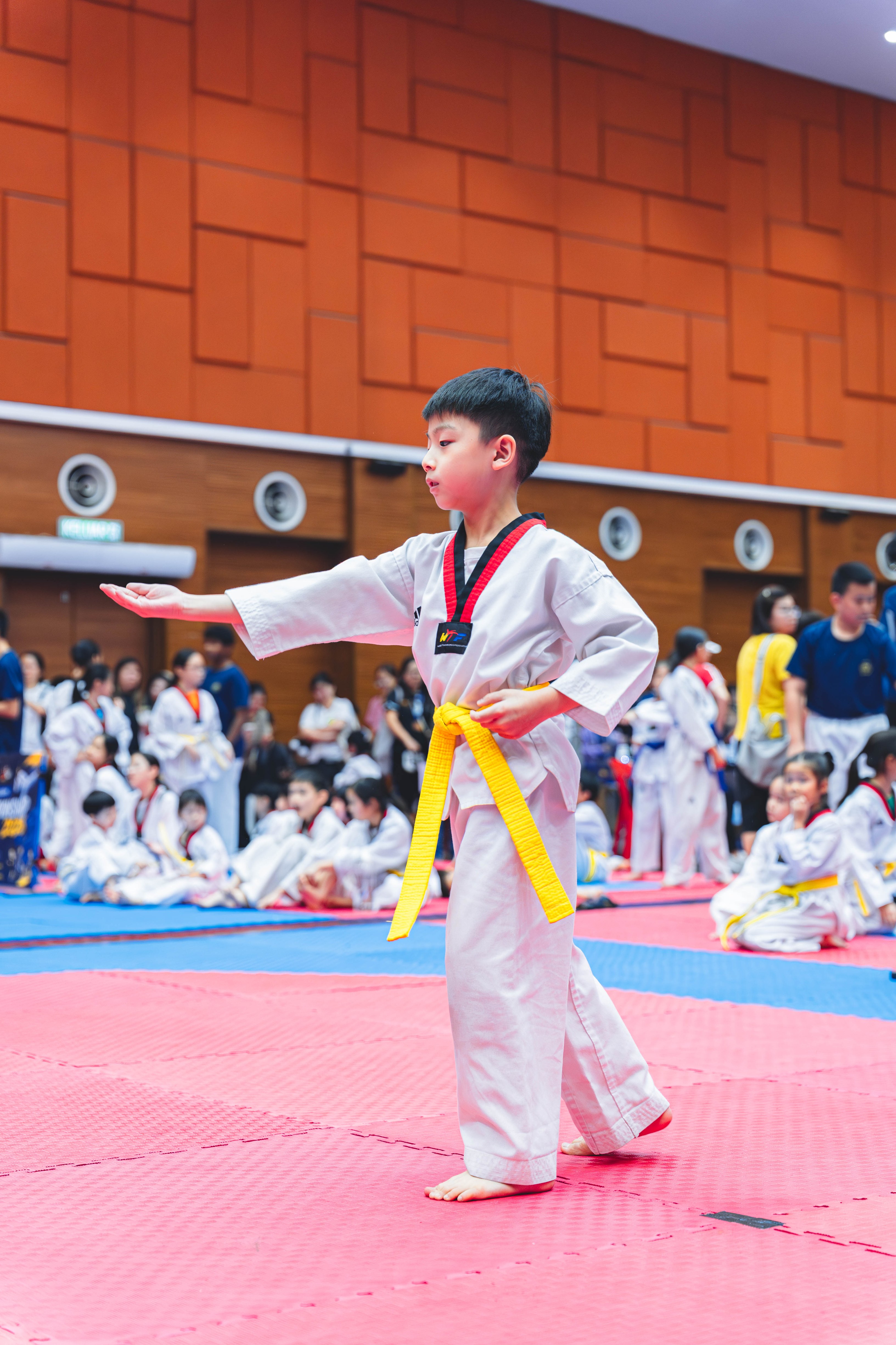 Blackbelt Academy Taekwondo Closed Tournament — wil-03507