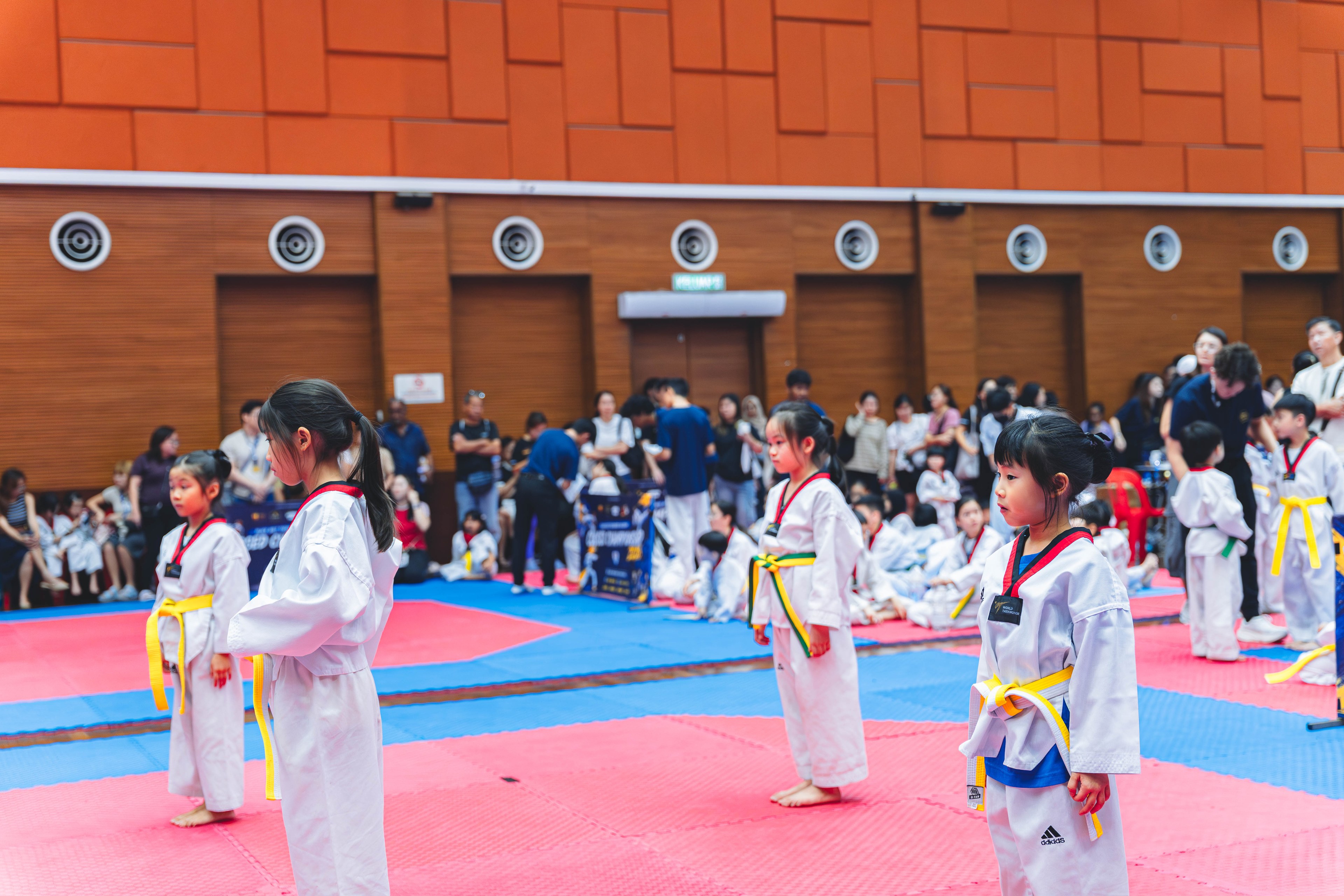 Blackbelt Academy Taekwondo Closed Tournament — wil-03518