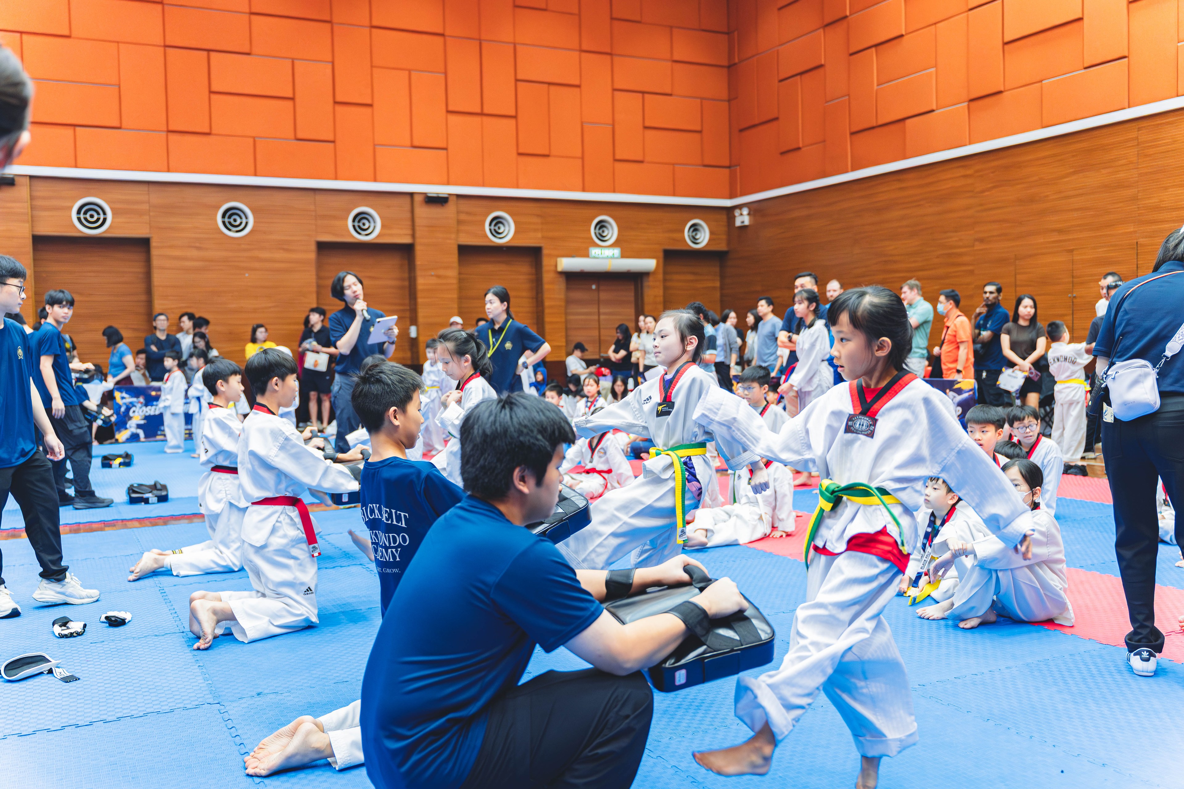 Blackbelt Academy Taekwondo Closed Tournament — wil-03593