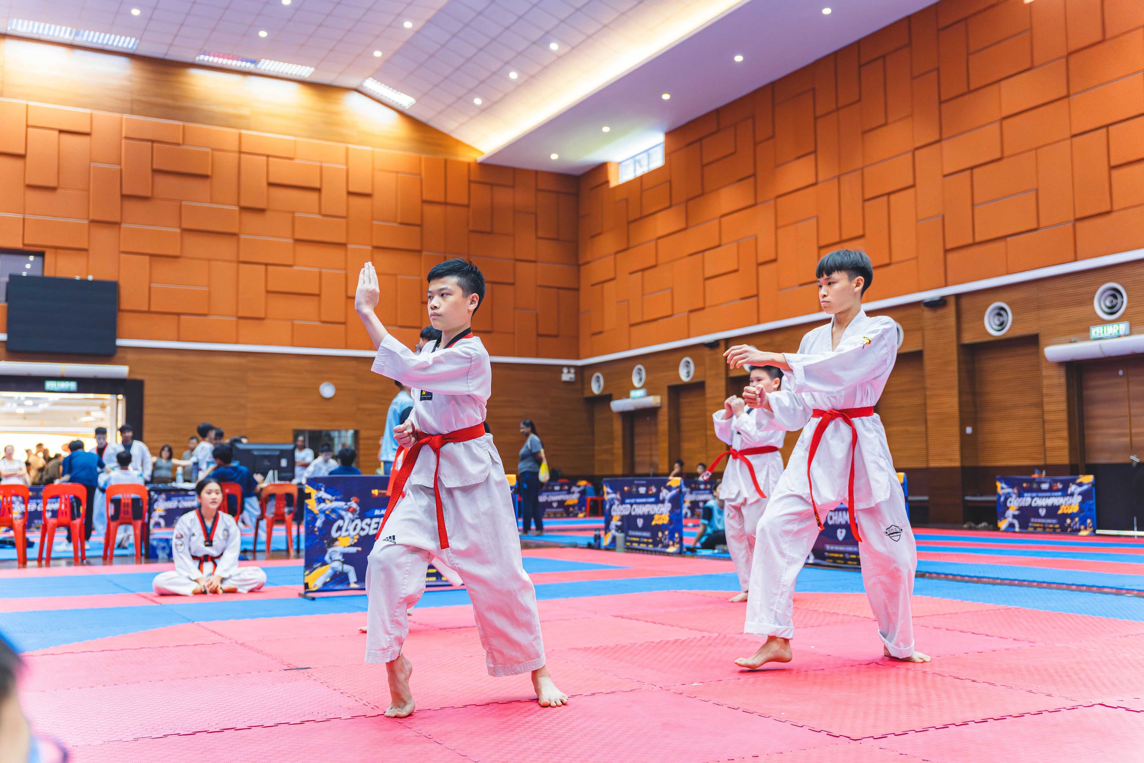 Blackbelt Academy Taekwondo Closed Tournament — wil-03867